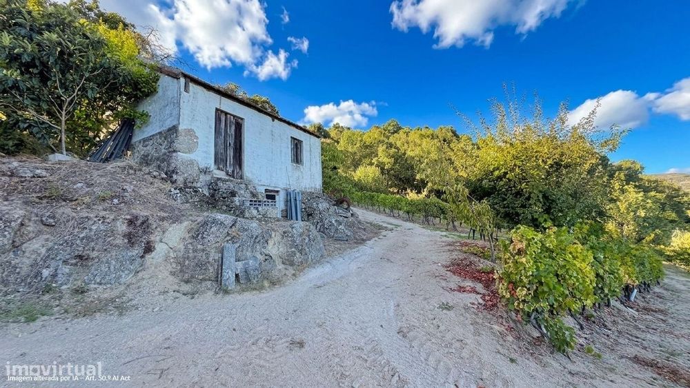 VINHA de 13.600m2 em URGUEIRA Baião|Castas de Excelência para Produção