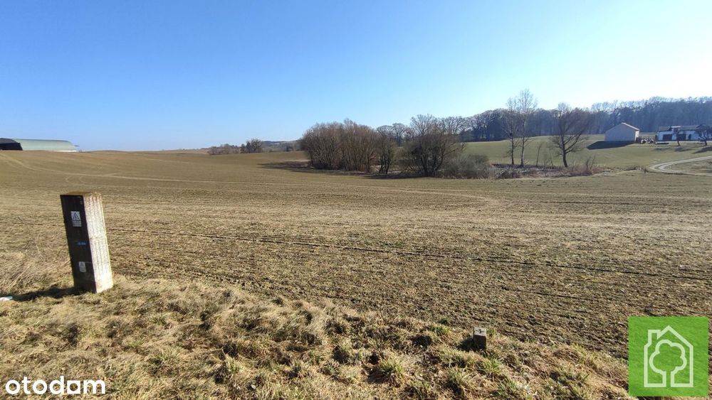 Działka, Wola