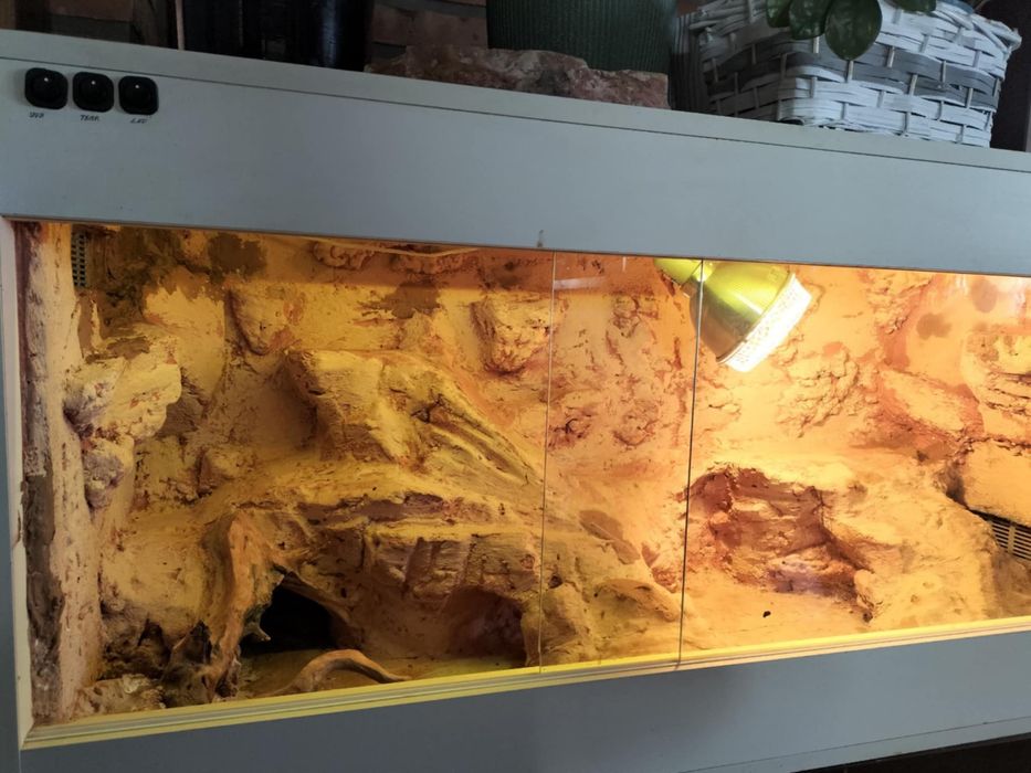 Duze terarrium 112x50x60cm z tłem 3D + lampa+ timer+miska jaszczurka