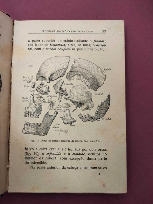 Noções de Zoologia - Augusto C. G. Soeiro