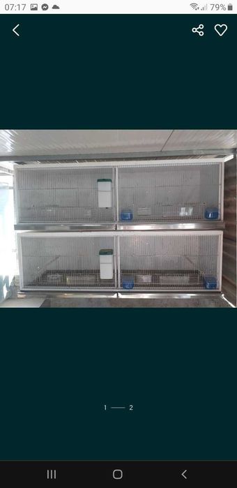 Viveiros para aves