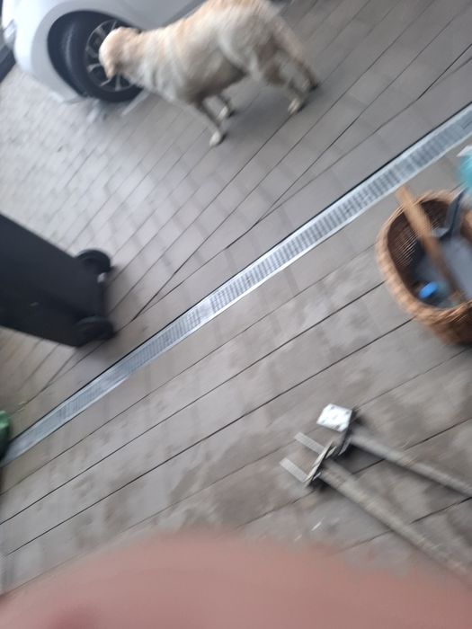 Cztery kotwy stalowe na belkę 10