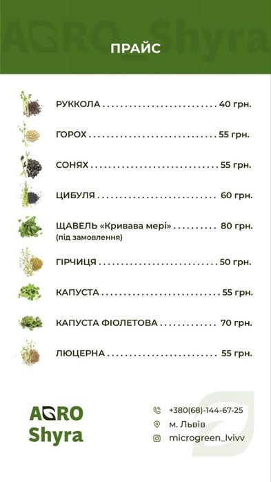 Мікрозелень-свіжий базилік