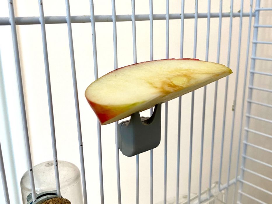 Supoirte de fruta para gaiolas