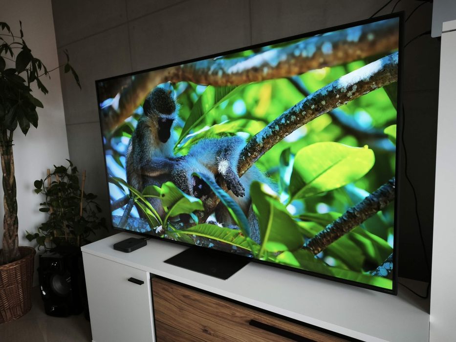 Telewizor LG 65QNED813RE 65" LED 4K 120Hz webOS HDMI 2.1 DVB-T2