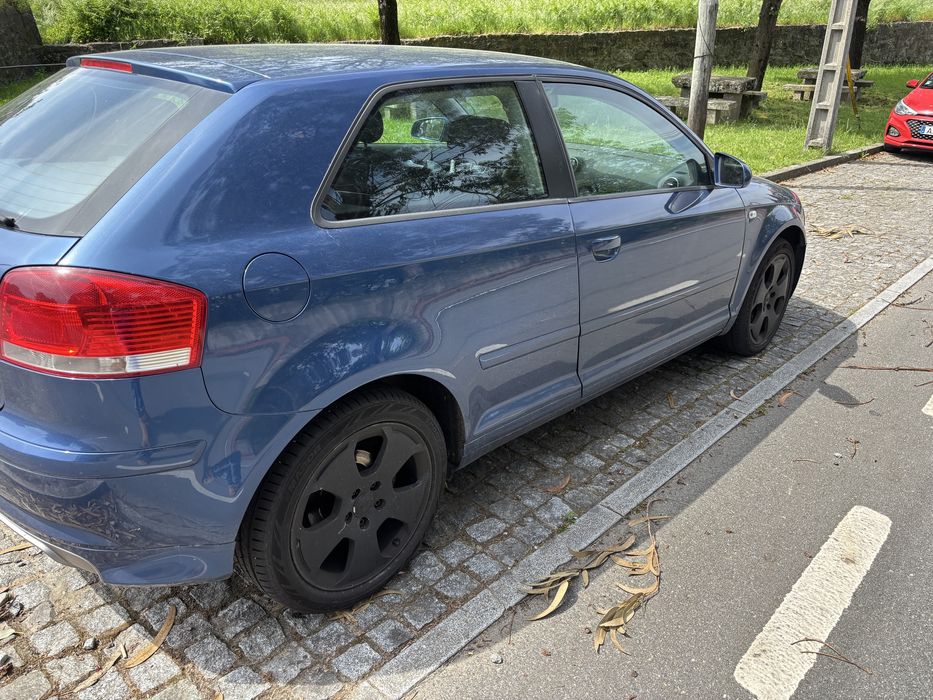 Audi A3 8P 2.0 TDI