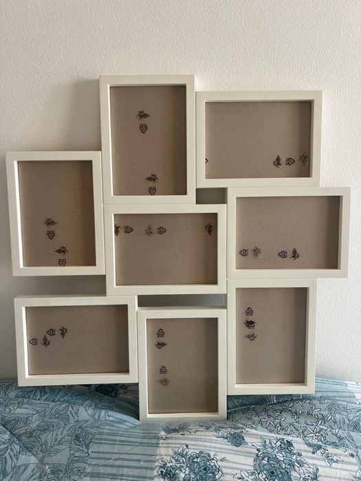 Moldura para várias fotografias