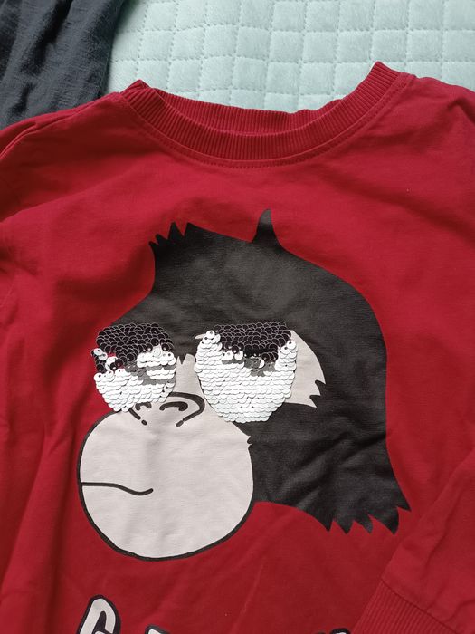 Koszulki z długim rękawem, t-shirt, r.116, Zara i Reserved