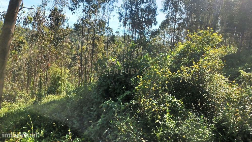 Terreno - Vila Nova da Barca - Venda