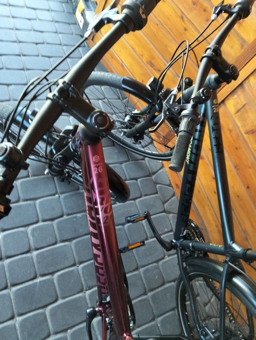 Rower Bergamot 26