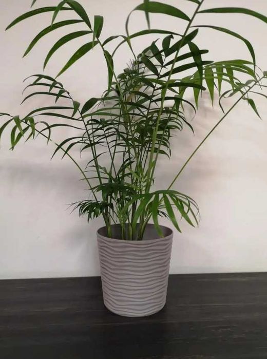 Горшок для цветов, вазон, горщик для квітів, кашпо, зі вставкою