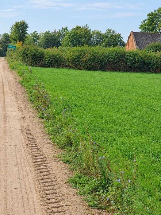 Na sprzedaż – 4,02 ha gruntu rolnego, III klasa, Jabłonna, gm. Grębków
