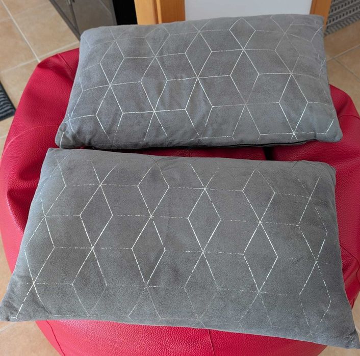 2x Almofadas decorativas