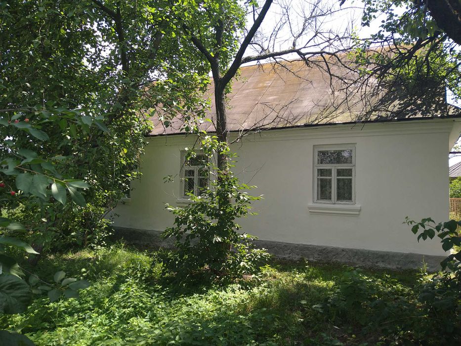 Продаж будинку та земельної ділянки 50 соток, місто Берестечко