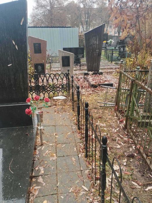 Спил та видалення дерев, підрізка