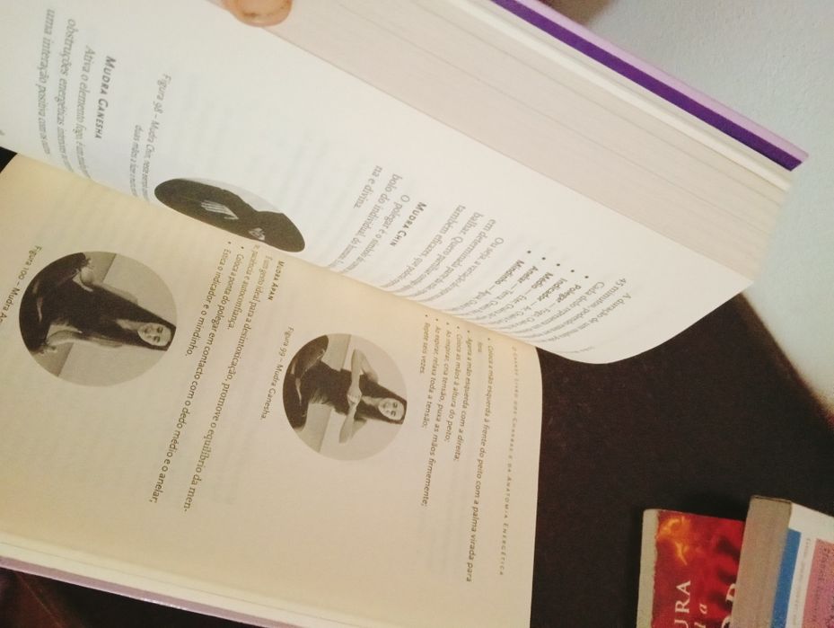 Livro Bíblia dos Anjos