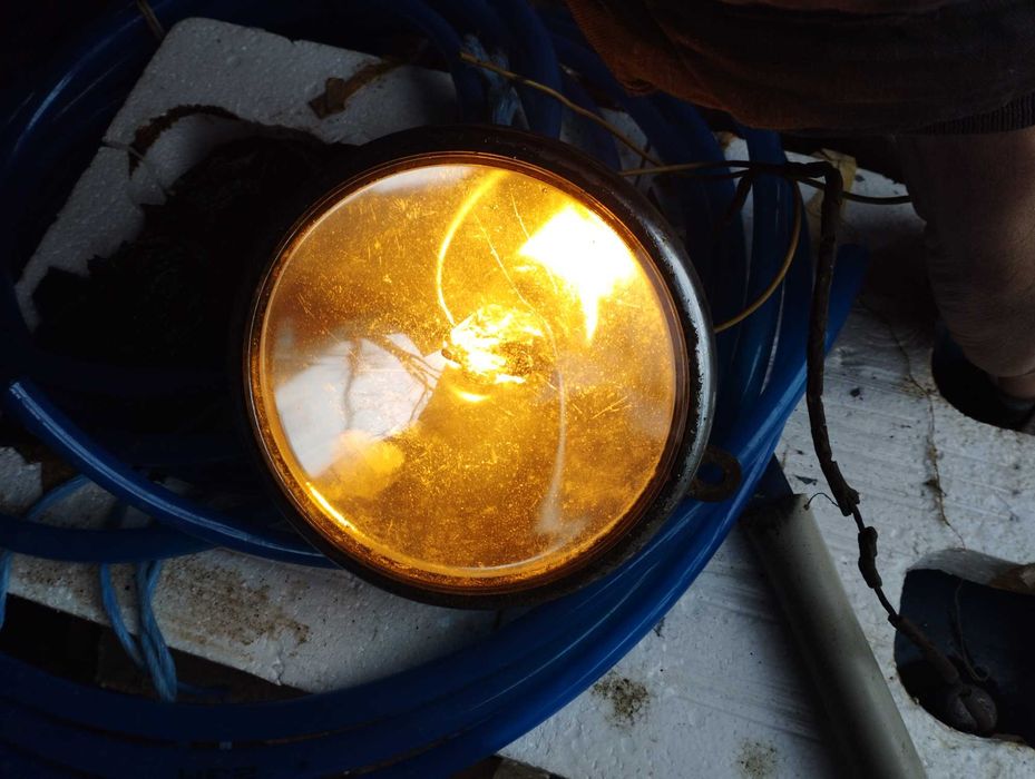 Фароискатель фарошукач