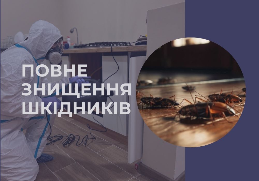 Видалення плісняви та грибка | Дезінфекція приміщень | Гарантія