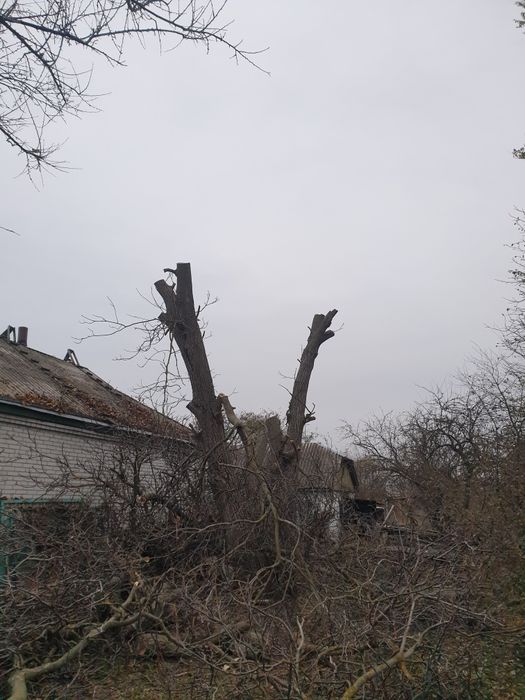 Обслуговування ділянок. СПИЛЮВАННЯ дерев. СКОШУВАННЯ трави тощо.