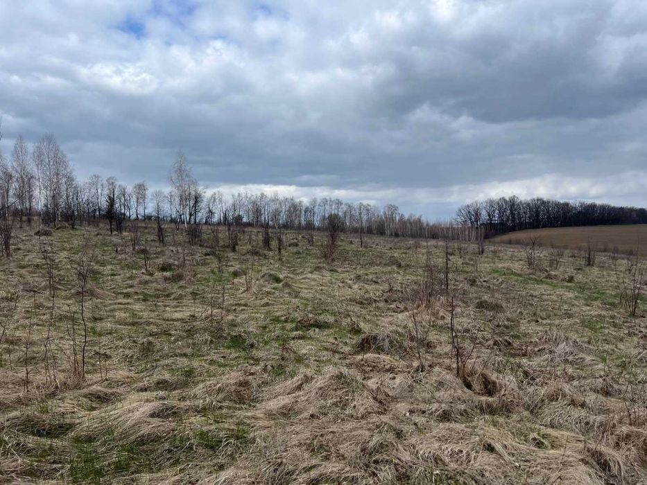 (5) Продам земельну ділянку 12 с в смт. Вороновиця 8116