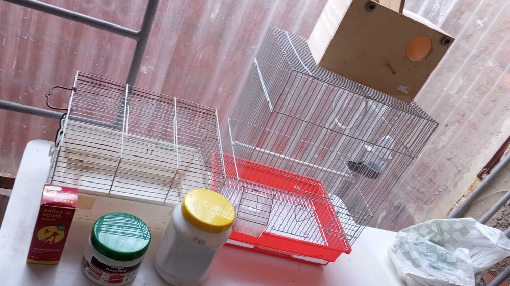 Conjunto de gaiolas de criação