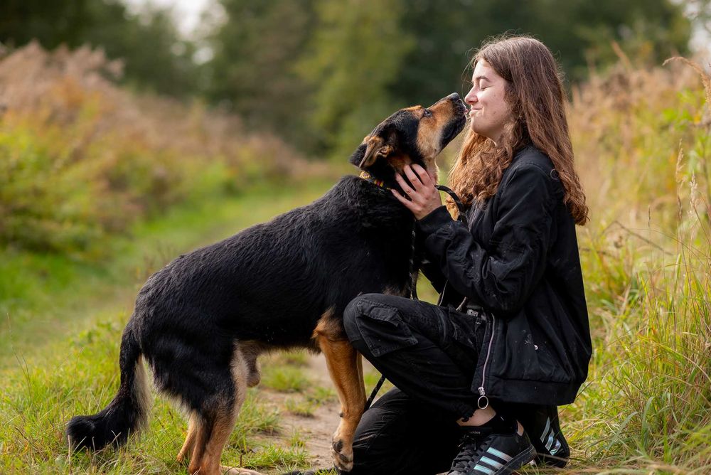 Elton: schroniskowy weteran gaśnie w oczach ;(