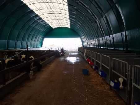 hala lukowa 16x50, obora na bydło, hala na bale, szerokości do 20 metr