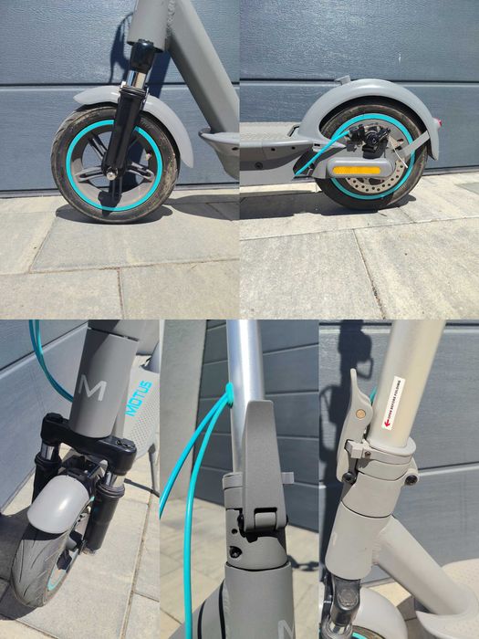 Hulajnoga motus scotty 10 plus