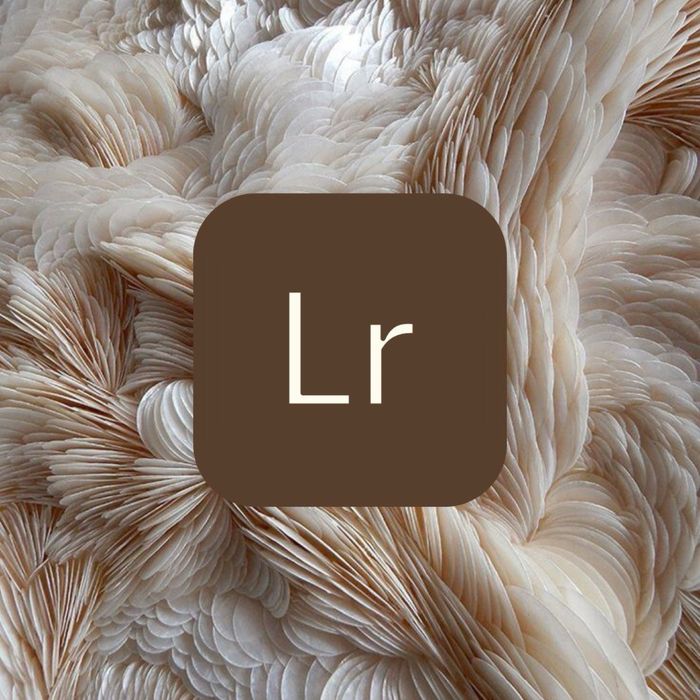 Edição profissinal para fotos .