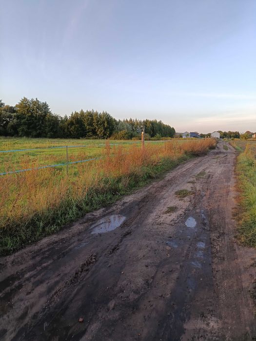 Dzialka na sprzedaz Krosinko