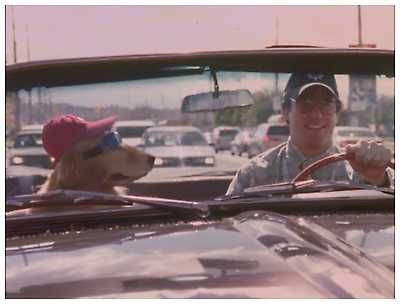 BAILEY Um Cão que vale Milhões (Tim Curry/Jennifer Tilly) NOVO/SELADO