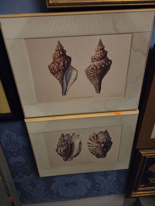 Varios quadros, bons preços