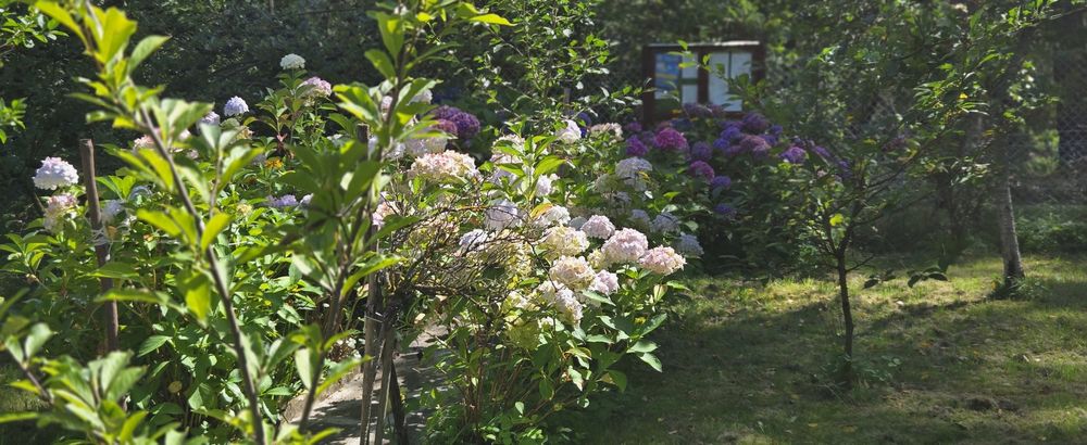 ROD "Zacisze Leśne" Wilkanowo