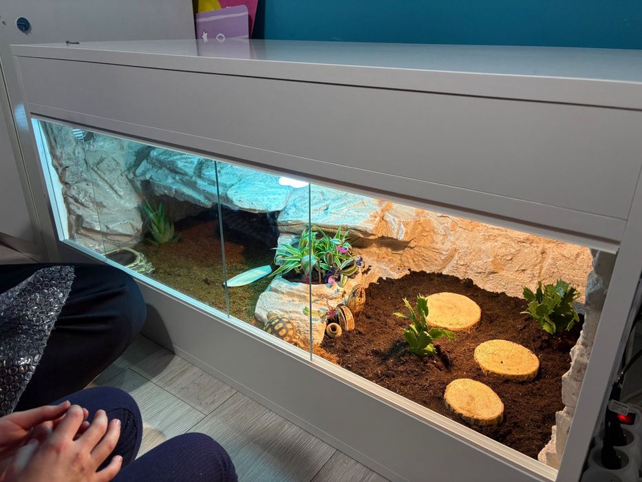 Terrarium pustynne, tropikalne. Żółw, jaszczurka.