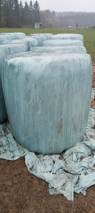 Bele z sianokiszonka!!!