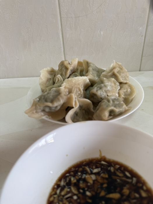 Handmade Chinese Dumplings, Buns & Steamed Bread (Homemade / Artesanal)