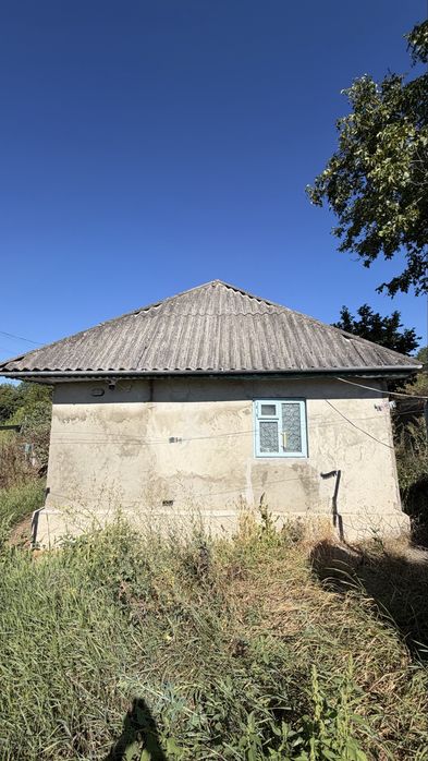 Будинок в селі біля Дністра