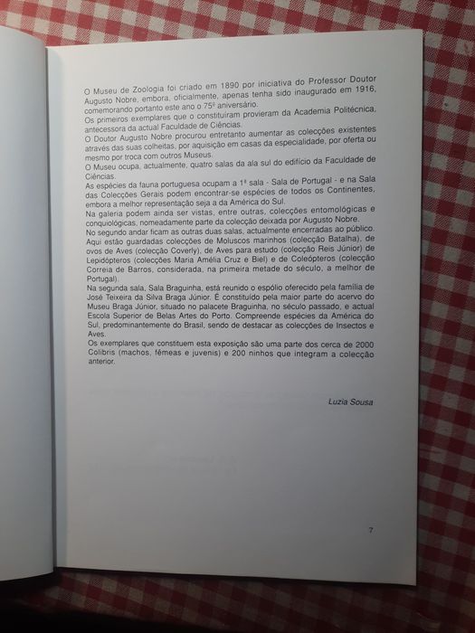 OS  COLIBRIS da coleção "Braga Junior"