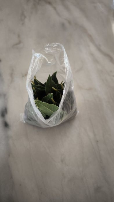 Vende-se louro verde