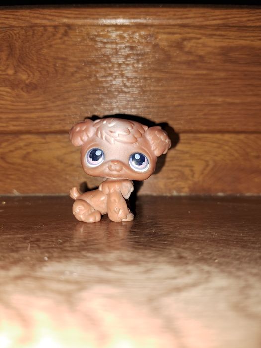 Los pies brązowy orginalny