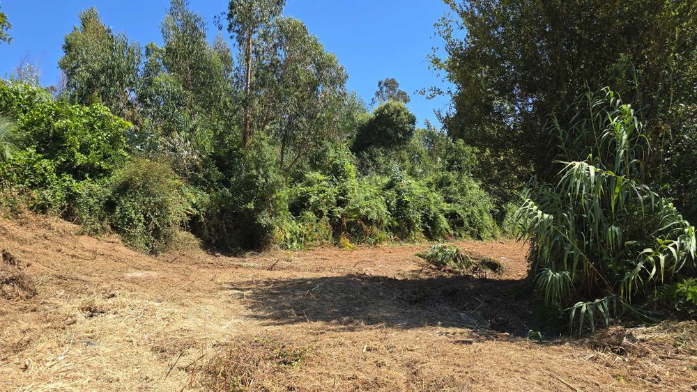 Lote de terreno 2500+ m2, margens do rio Douro, perto do Porto