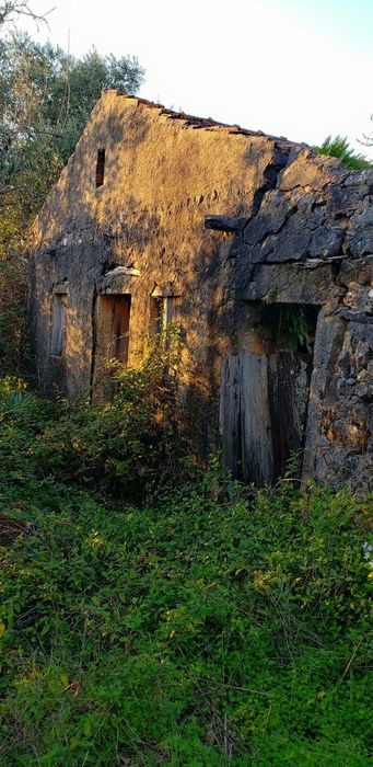 Terreno com casa em ruina — Pelmá, Leiria