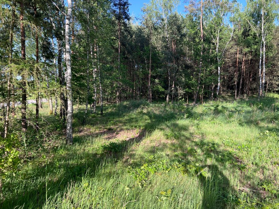 Działka 850 m² warunki zabudowy - Widok 3