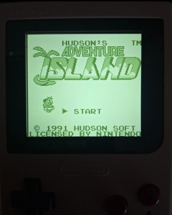 Adventure Island - Nintendo Game Boy (PORTES INCLUÍDOS)