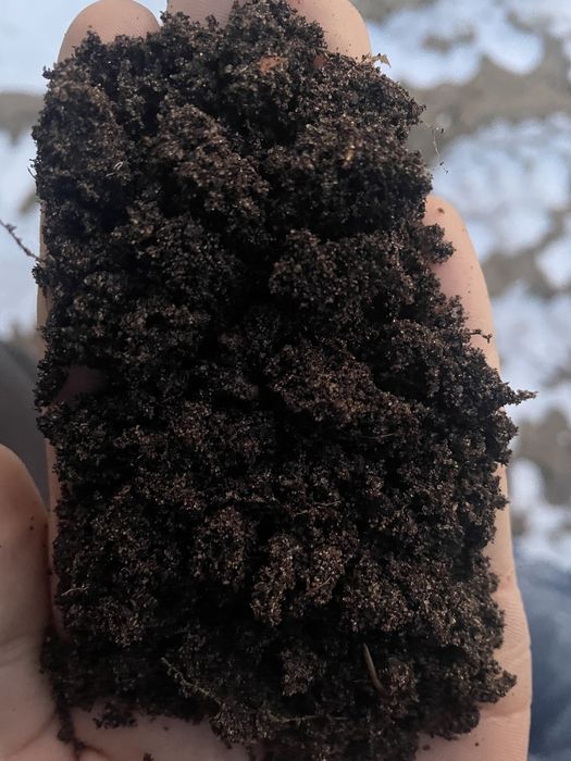 piach piasek żwir ziemia gruz kruszywo transport w ciągu 24h