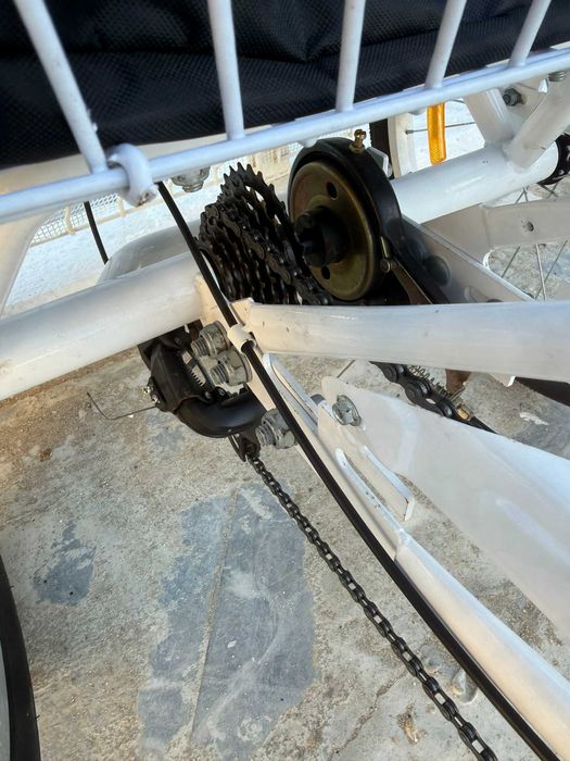 Bicicleta de 3 rodas para adulto