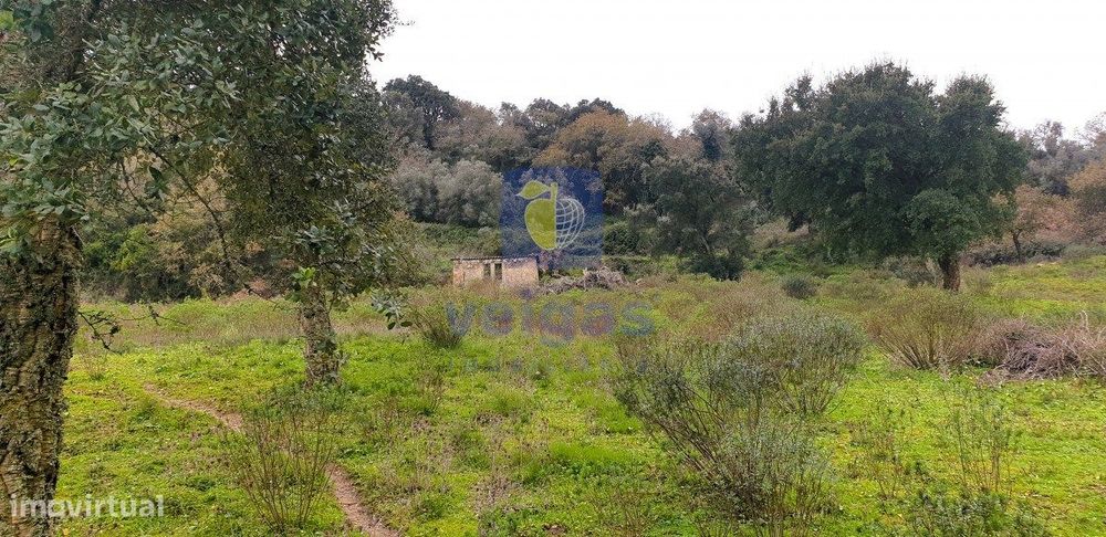 Terreno Arruda dos Vinhos