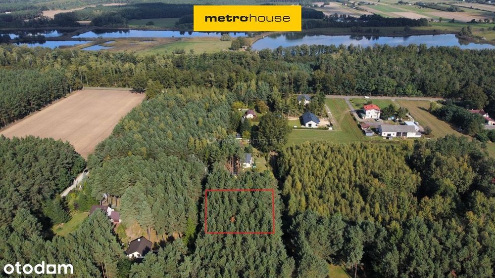 Leśna działka budowlana 841,3 m2 15 km do Łodzi
