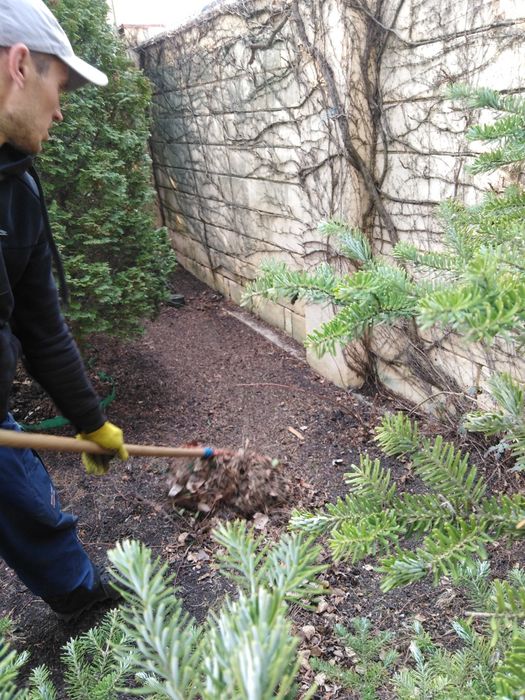 Вспашка и уборка участков очень добросовестно. Одесса.