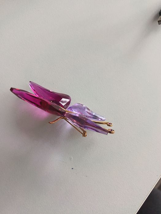 Motyl broszka Svarowski